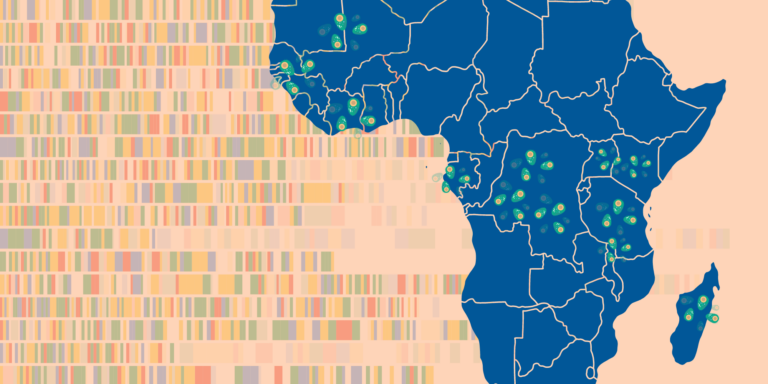 Graphic representing the discovery of AF1 cryptotype group of malaria parasites in Africa